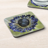 Anemone Mistral Panda Bier Onderzetter (Linkerzijde)