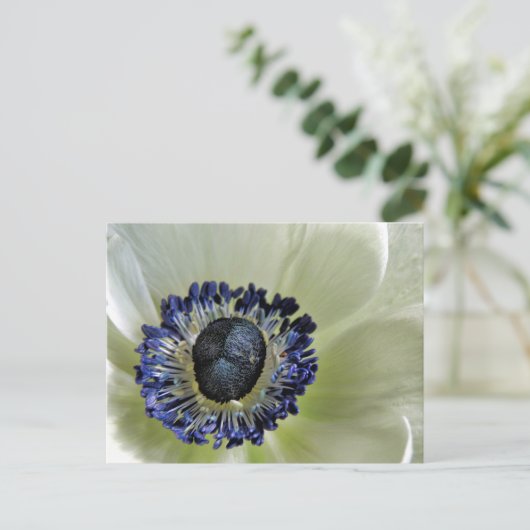 Anemone Mistral Panda Briefkaart (Staand voorkant)