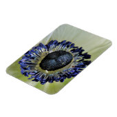 Anemone Mistral Panda Magneet (Linkerzijde)