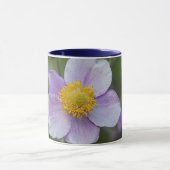 Anemone Mok (Midden)