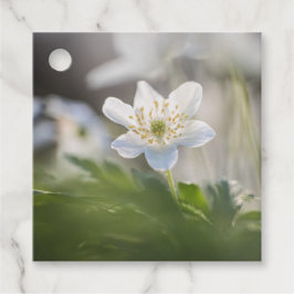 Anemone Natuur Foto Bedankjes Labels