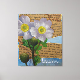 Anemone op gespannen canvasprint canvas afdruk