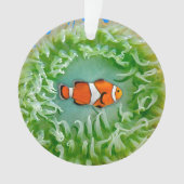 Anemone Ornament (voorkant)