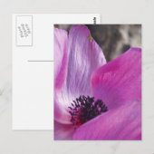 Anemone Petals Briefkaart (Voorkant / Achterkant)