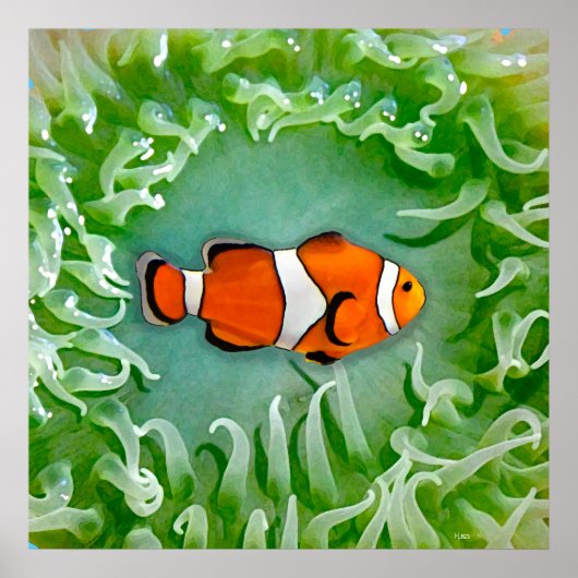 Anemone Poster (Voorkant)