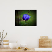 Anemone Poster (Keuken)
