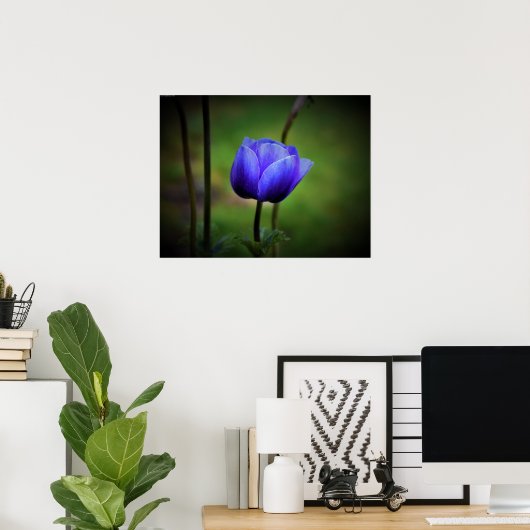 Anemone Poster (Thuiskantoor)