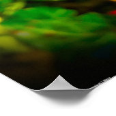 Anemone Poster (Hoek)