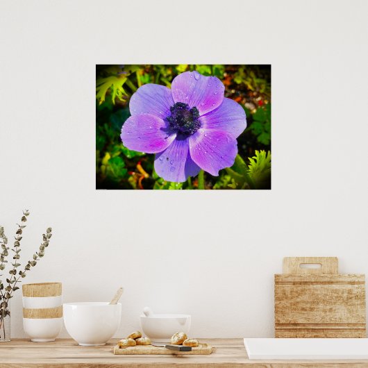 Anemone Poster (Keuken)