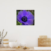 Anemone Poster (Keuken)