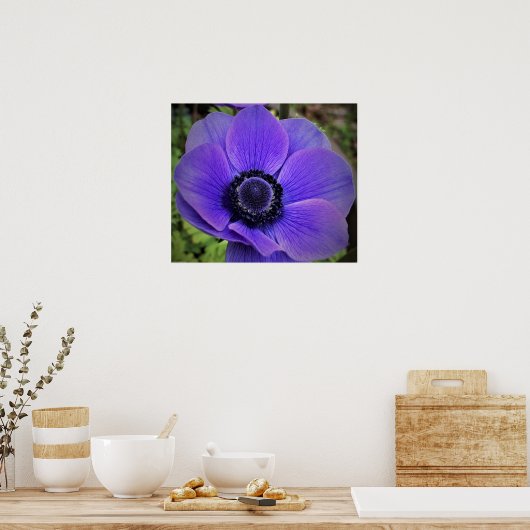 Anemone Poster (Keuken)