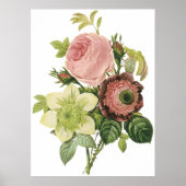 Anemone, Roos, Clematis Poster (Voorkant)