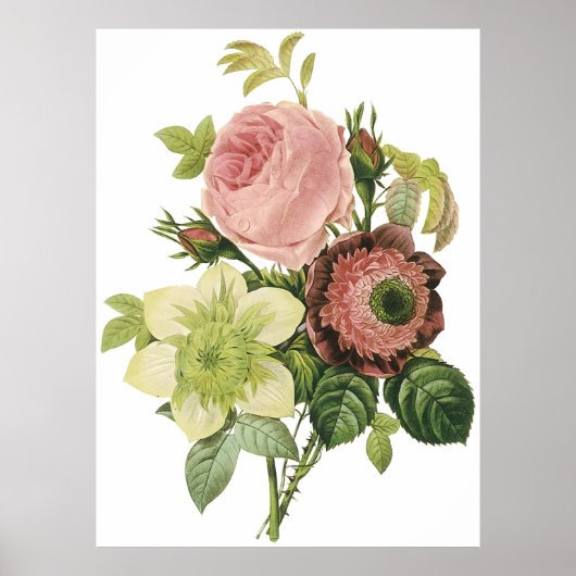 Anemone, Roos, Clematis Poster (Voorkant)