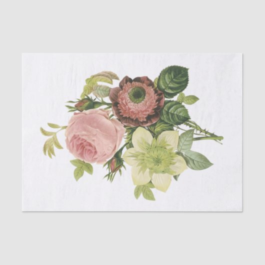 Anemone, Roos, Clematis Tissuepapier (Voorkant)