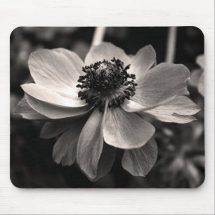 Anemone Sepia floral Photography Muismat