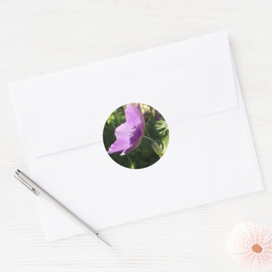 Anemone Stickers (Envelop)