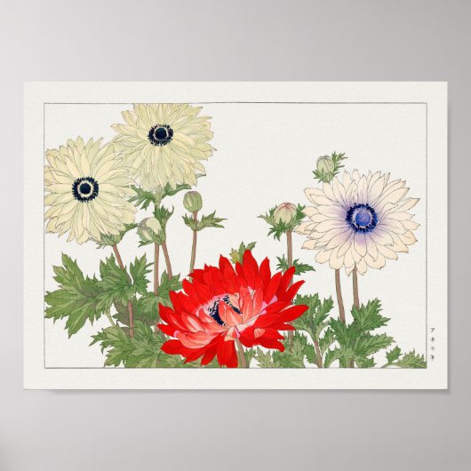 Anemone van Tanigami Konan Poster (Voorkant)
