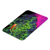 Anemone vis hiding in Anemone, Mozambique 2 Magneet (Linkerzijde)