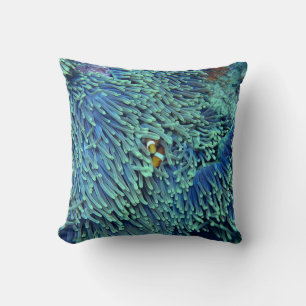 Anemone Vis Zee Zeedieren Oceaan  Kussen