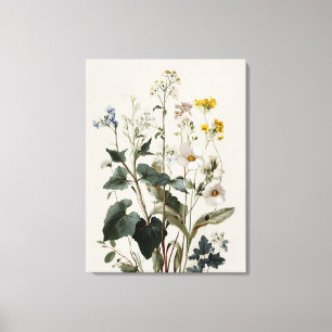 Anemone Wilde Bloemencluster Canvas Afdruk
