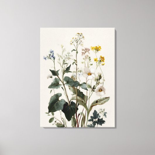 Anemone Wilde Bloemencluster Canvas Afdruk (Voorkant)