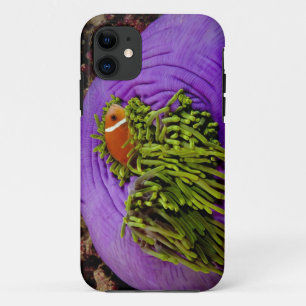 Anemonefish en grote anemon iPhone 11 hoesje