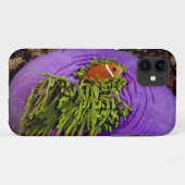Anemonefish en grote anemon Case-Mate iPhone case (Achterkant (horizontaal))