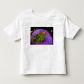 Anemonefish en grote anemon kinder shirts (Voorkant)