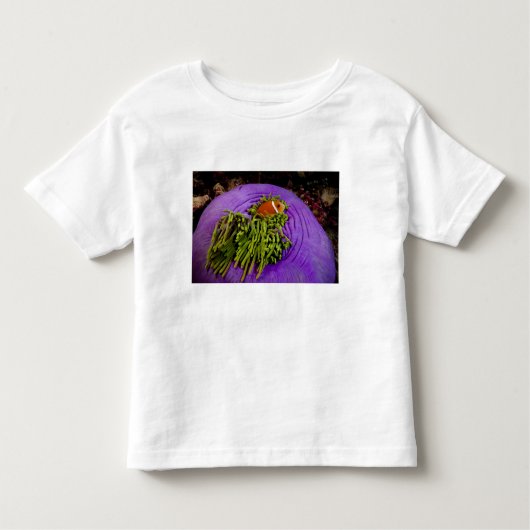 Anemonefish en grote anemon kinder shirts (Voorkant)