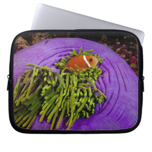 Anemonefish en grote anemon laptop sleeve