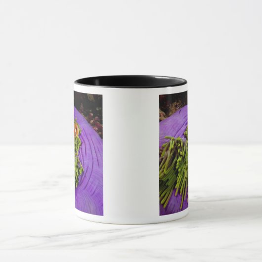 Anemonefish en grote anemon mok (Midden)