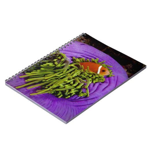 Anemonefish en grote anemon notitieboek (Linkerzijde)