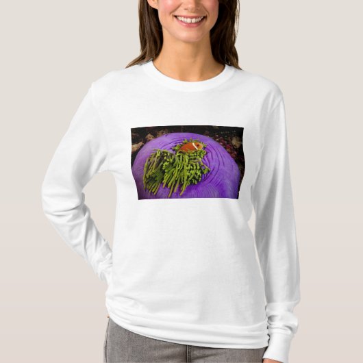 Anemonefish en grote anemon t-shirt (Voorkant)
