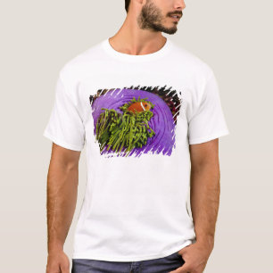 Anemonefish en grote anemon t-shirt