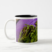 Anemonefish en grote anemon tweekleurige koffiemok (Links)