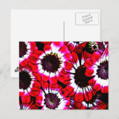 Anemonen Briefkaart (Voorkant / Achterkant)