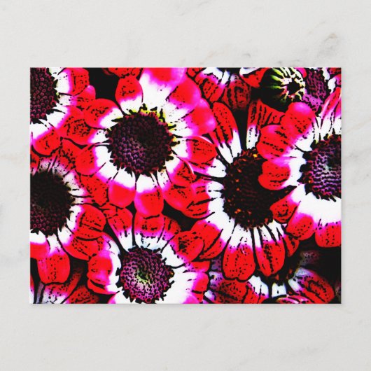 Anemonen Briefkaart (Voorkant)