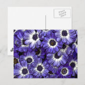 Anemonen Briefkaart (Voorkant / Achterkant)