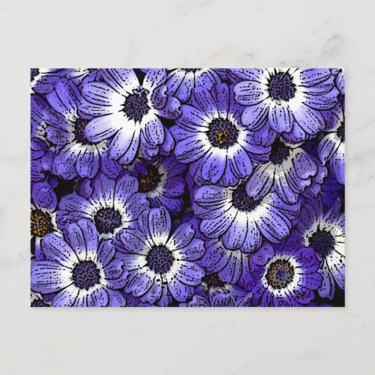 Anemonen Briefkaart (Voorkant)