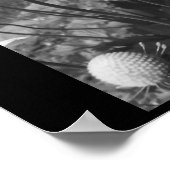 Anemonen Poster (Hoek)