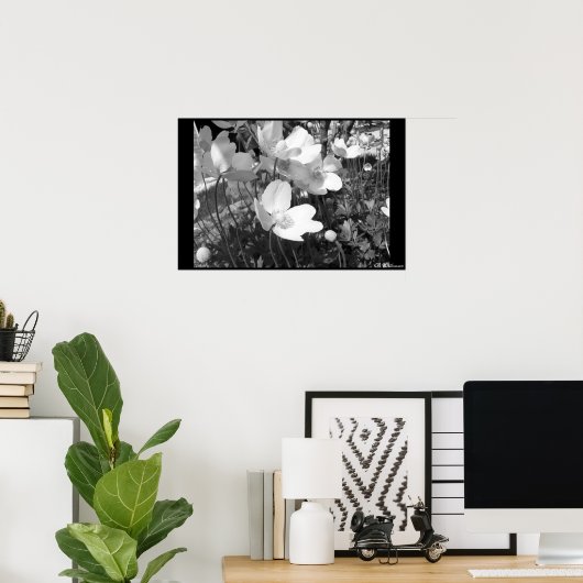 Anemonen Poster (Thuiskantoor)
