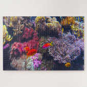 Anemonen van zeeen en tropische vissen. legpuzzel (Horizontaal)