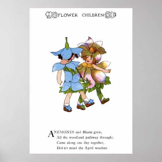 Anemones en Bluets Poster (Voorkant)