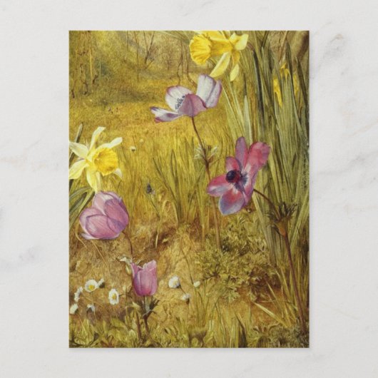  Anemones en Daffodils Henry Newman Briefkaart (Voorkant)