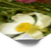 Anemones-gebied Perfect Poster (Hoek)