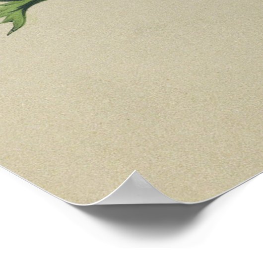 Anemones poster (Hoek)