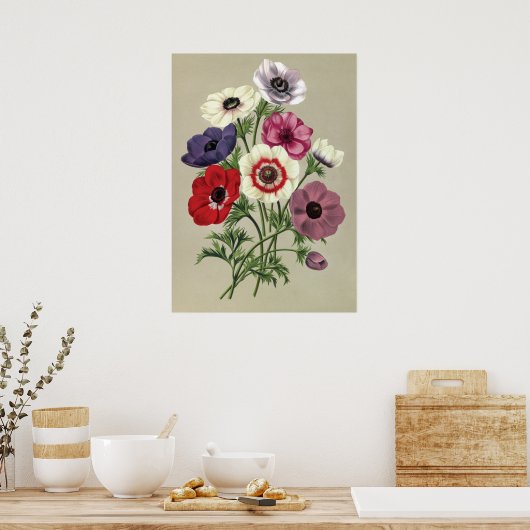 Anemones poster (Keuken)