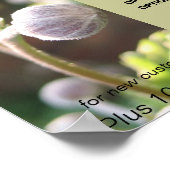 Anemones Reiki zen prijstlijst Poster (Hoek)