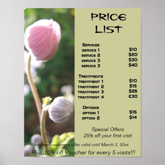 Anemones Reiki zen prijstlijst Poster (Voorkant)