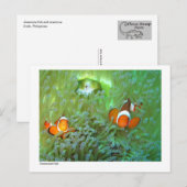 Anemonvis - 02 briefkaart (Voorkant / Achterkant)